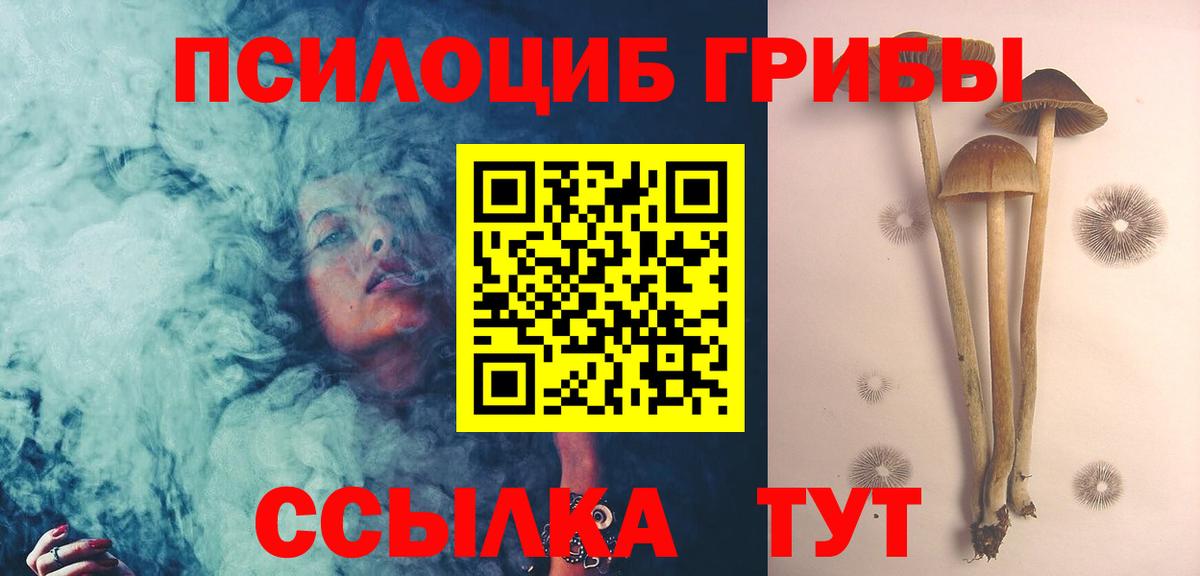 Галлюциногенные грибы GOLDEN TEACHER  Галлюциногенные грибы GOLDEN TEACHER  Новороссийск  Вход с VPN 