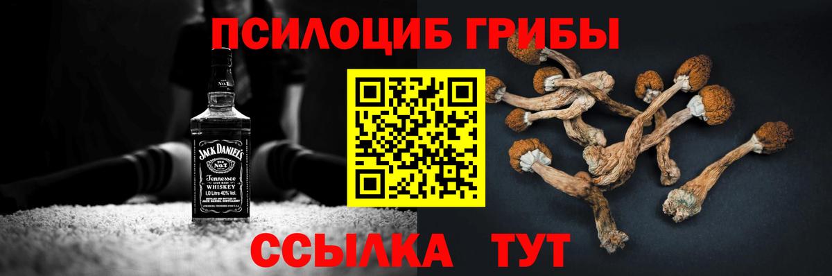 Псилоцибиновые грибы Magic Shrooms Новороссийск